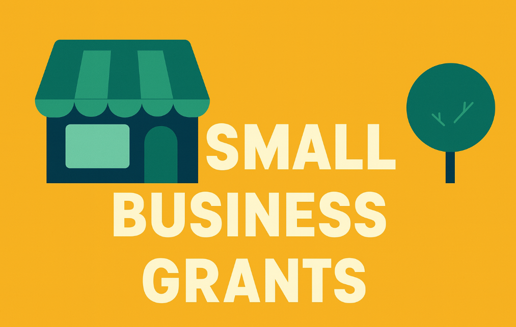 Business Grants vs Loans: Which Funding Path Works Best for You?