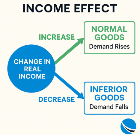 Exploring the Income Effect: How Purchasing Power Shapes Consumer Behavior