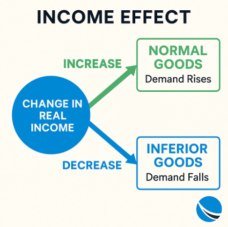 Exploring the Income Effect: How Purchasing Power Shapes Consumer Behavior