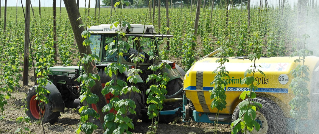 How African Agribusinesses Can Build Successful Export Businesses Through High-Value Fresh Produce