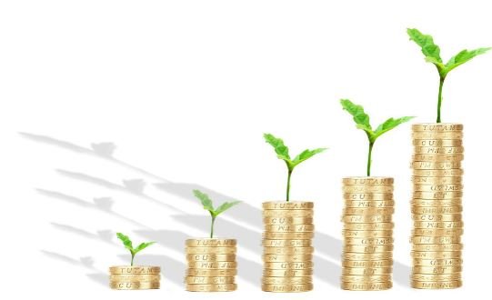 Mastering Yield on Earning Assets: The Key Ratio That Reveals True Financial Strength in Banks