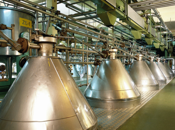 Basis Value: How Asset Costs Shape Taxes, Gains, And Smarter Business Decisions