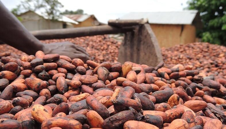 Côte d’Ivoire Investment Guide: Business Opportunities, Market Risks and Entry Strategies
