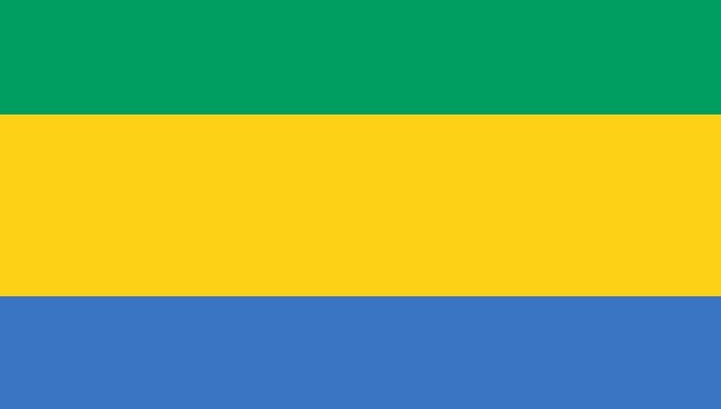 Gabon Salary Guide: Average Pay, Minimum Wage, Overtime and Employee Compensation