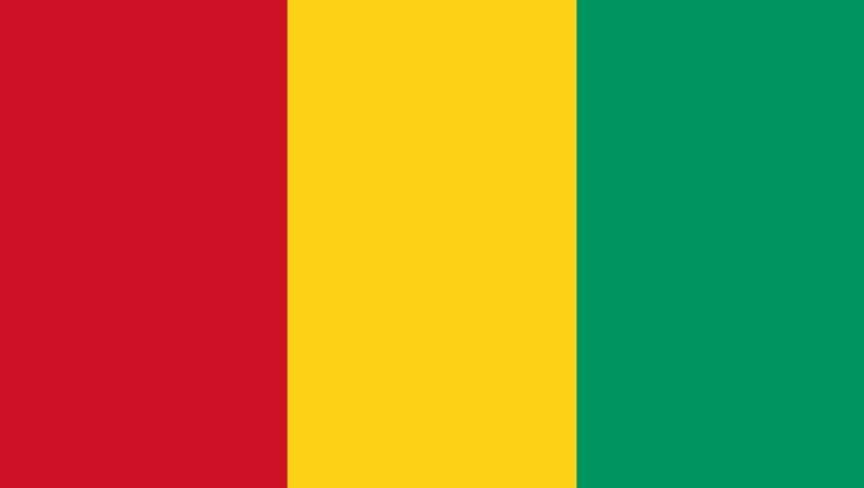 Guinea Investment Outlook: Business Opportunities, Market Risks and Growth Sectors