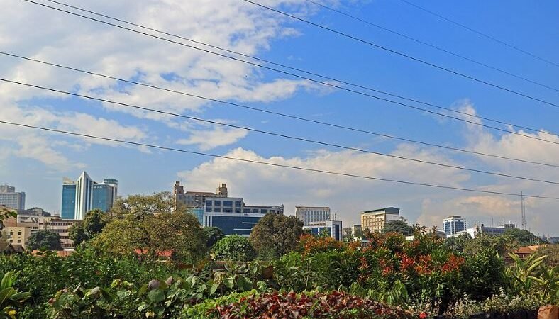 Uganda’s Investment and Commercial Landscape