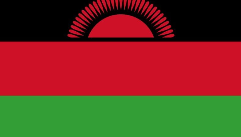 Investing in Malawi: Business Opportunities, Market Entry Strategies and High-Growth Sectors