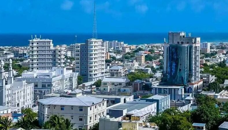 Business Opportunities in Somalia