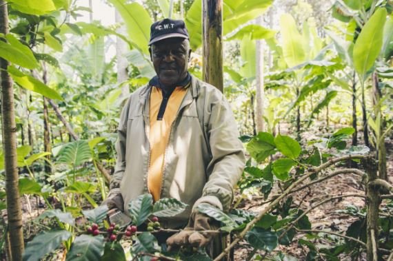 South Africa’s Agricultural Sector Signals a Stronger Investment Cycle