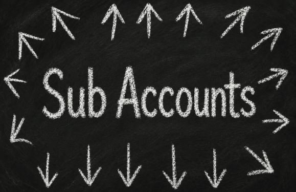 Sub Accounts as a Strategic Financial Management Tool